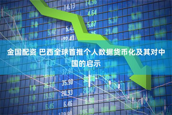 金国配资 巴西全球首推个人数据货币化及其对中国的启示