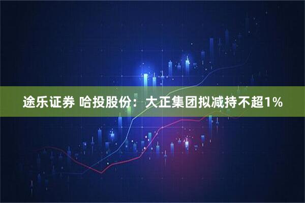 途乐证券 哈投股份：大正集团拟减持不超1%