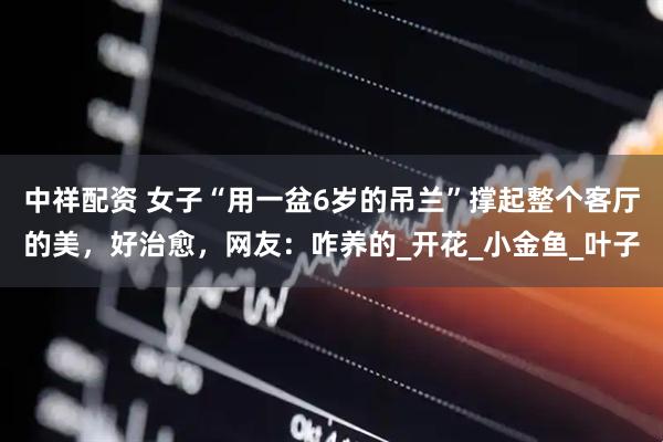 中祥配资 女子“用一盆6岁的吊兰”撑起整个客厅的美，好治愈，网友：咋养的_开花_小金鱼_叶子