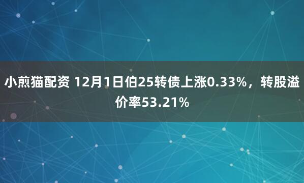 小煎猫配资 12月1日伯25转债上涨0.33%，转股溢价率53.21%